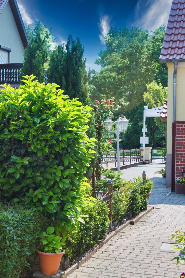 Pension Luisenhof Tangermünde エクステリア 写真